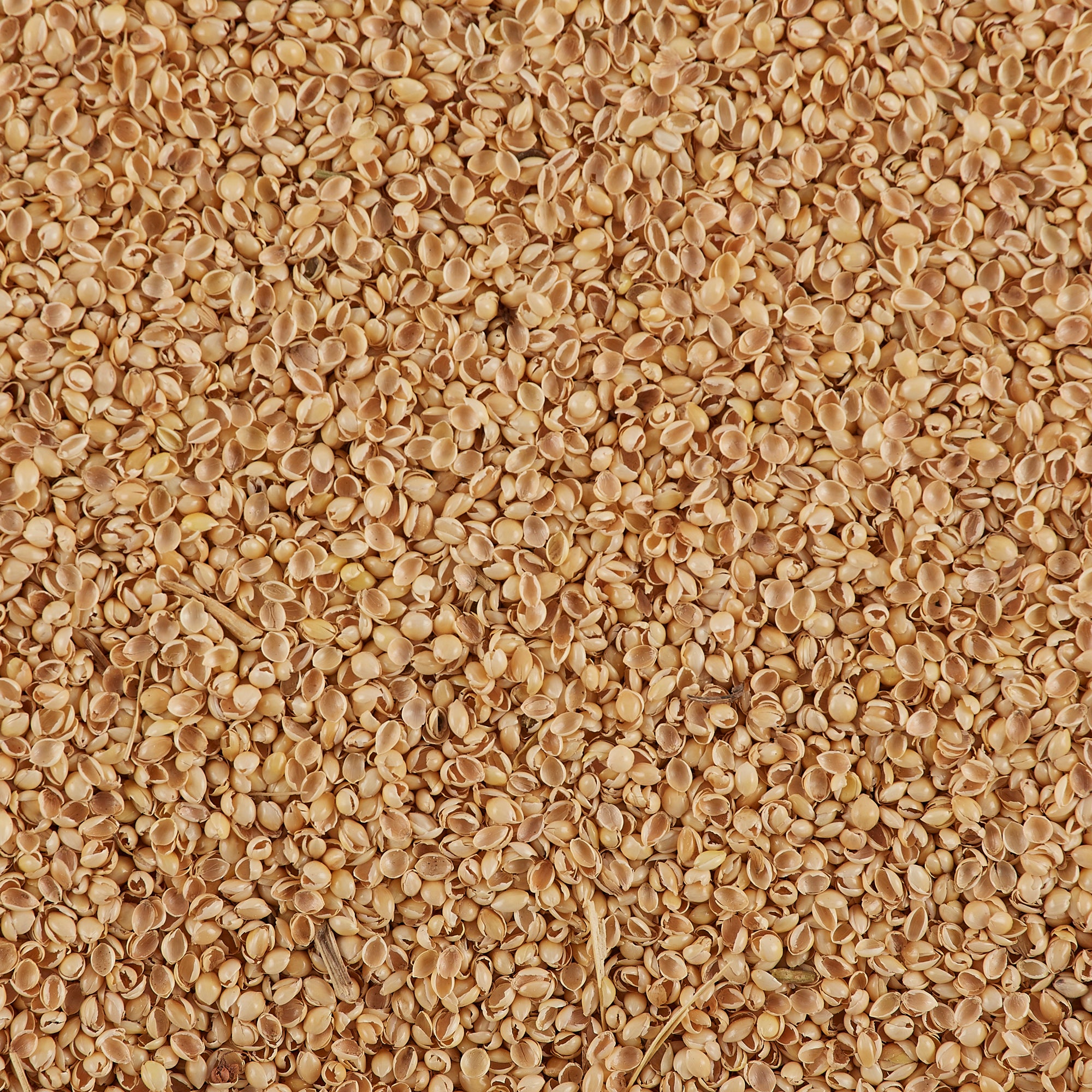 bucky-1-lb-millet-hulls-nat-rliche-hirseschalen-f-llung-ca-450-g-zur-kissen-nach image 2